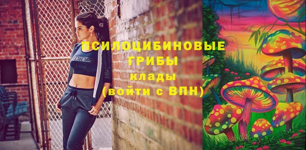 винт Алзамай
