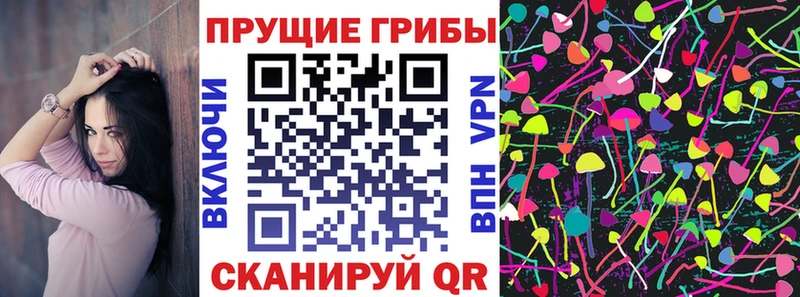 Купить где  Пермь  Псилоцибиновые грибы Psilocybine cubensis 